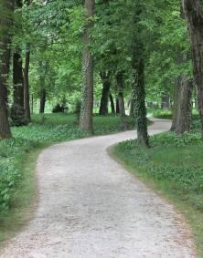 Leben-ist-Wandlung-12a.jpg