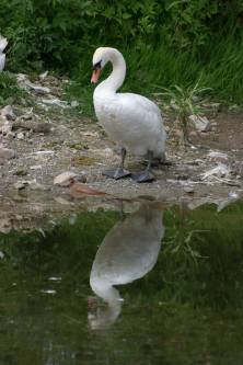 Leben-ist-Wandlung-1a.jpg
